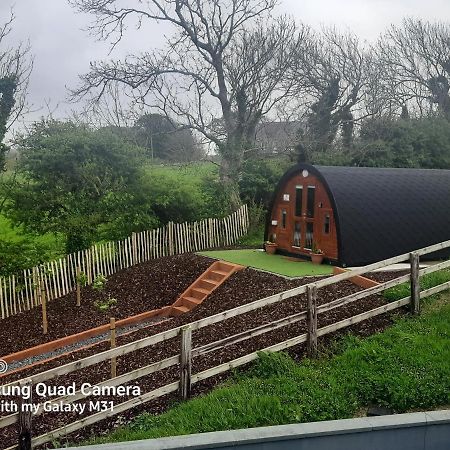 Ivy Hill Glamping Pod Leilighet Ennis Eksteriør bilde